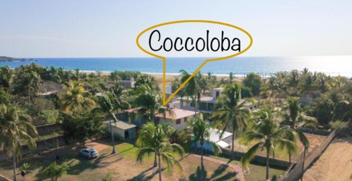 Coccoloba Guest House Puerto Escondido  Dış mekan fotoğraf