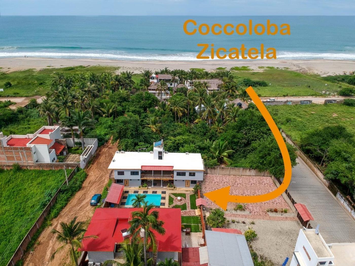Coccoloba Guest House Puerto Escondido  Dış mekan fotoğraf